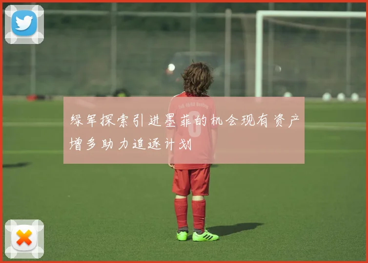 绿军探索引进墨菲的机会现有资产增多助力追逐计划
